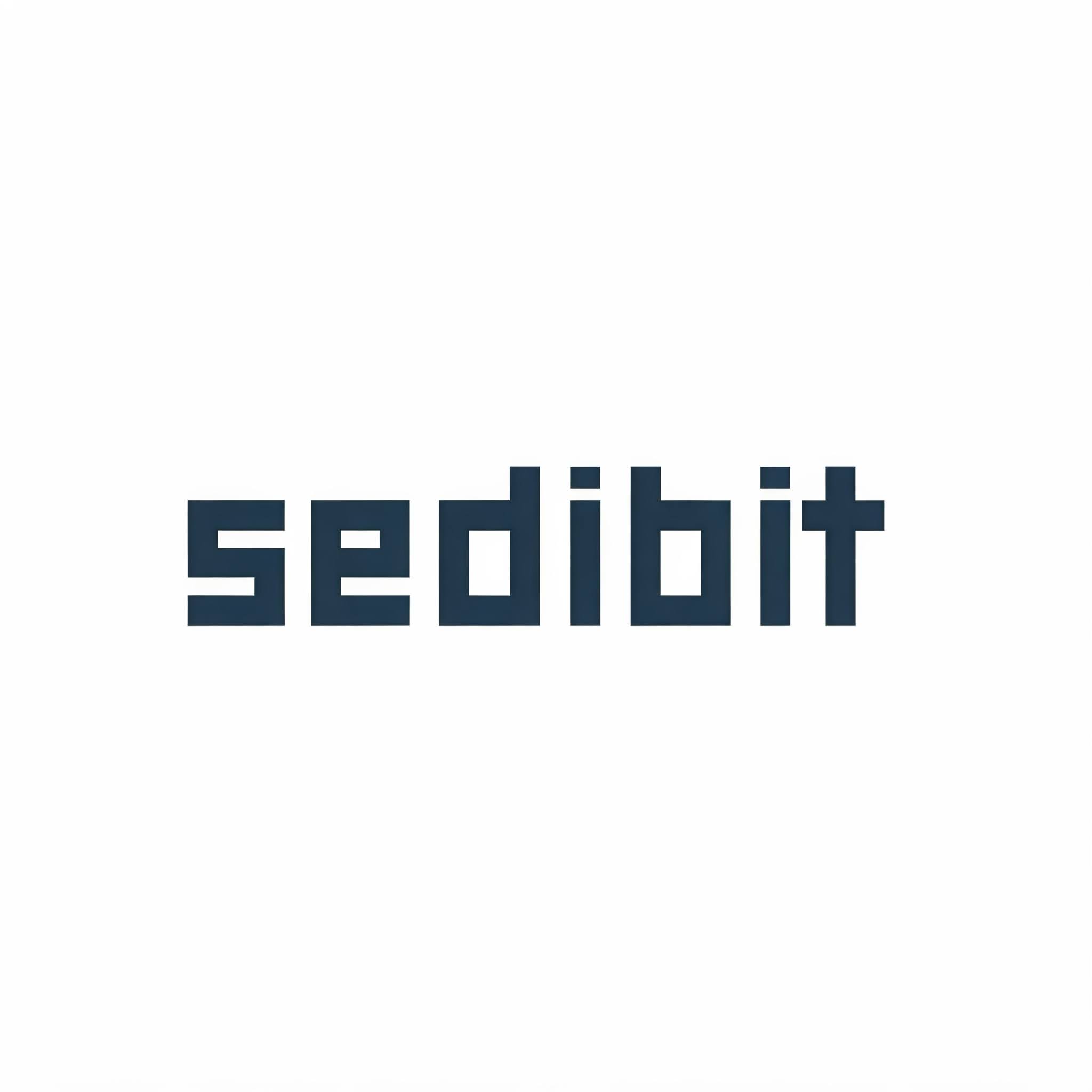 Equipo de Sedibit trabajando con tecnología